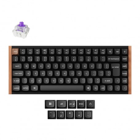 Mehanska Tipkovnica brezžična + Bluetooth Keychron K2 HE nebula mag stikala UK | črna RGB (K...